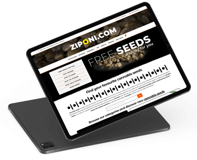 Website Design Souvenir Seeds